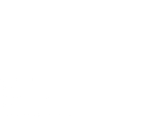 &nbsp;Ms. Chen Dongliang China Project manager China Joined the team in 2008